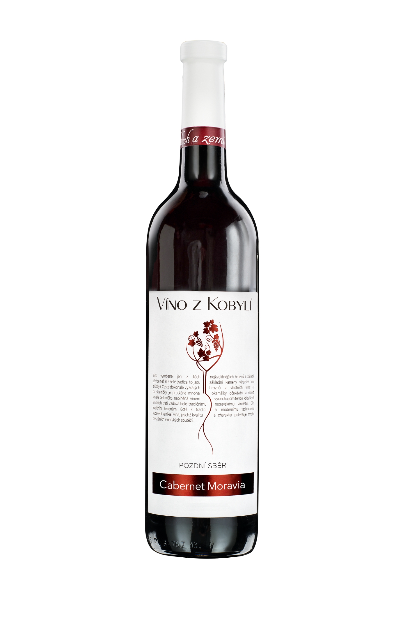 81 cabernet moravia pozdní sběr